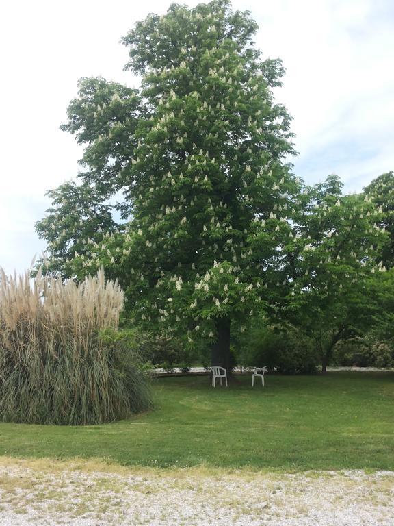Agriturismo Al Navile Malalbergo Exteriér fotografie